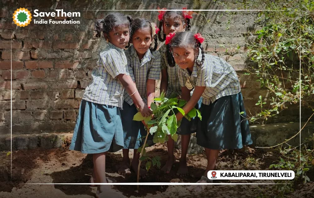 SaveThem India Foundation — photo 3